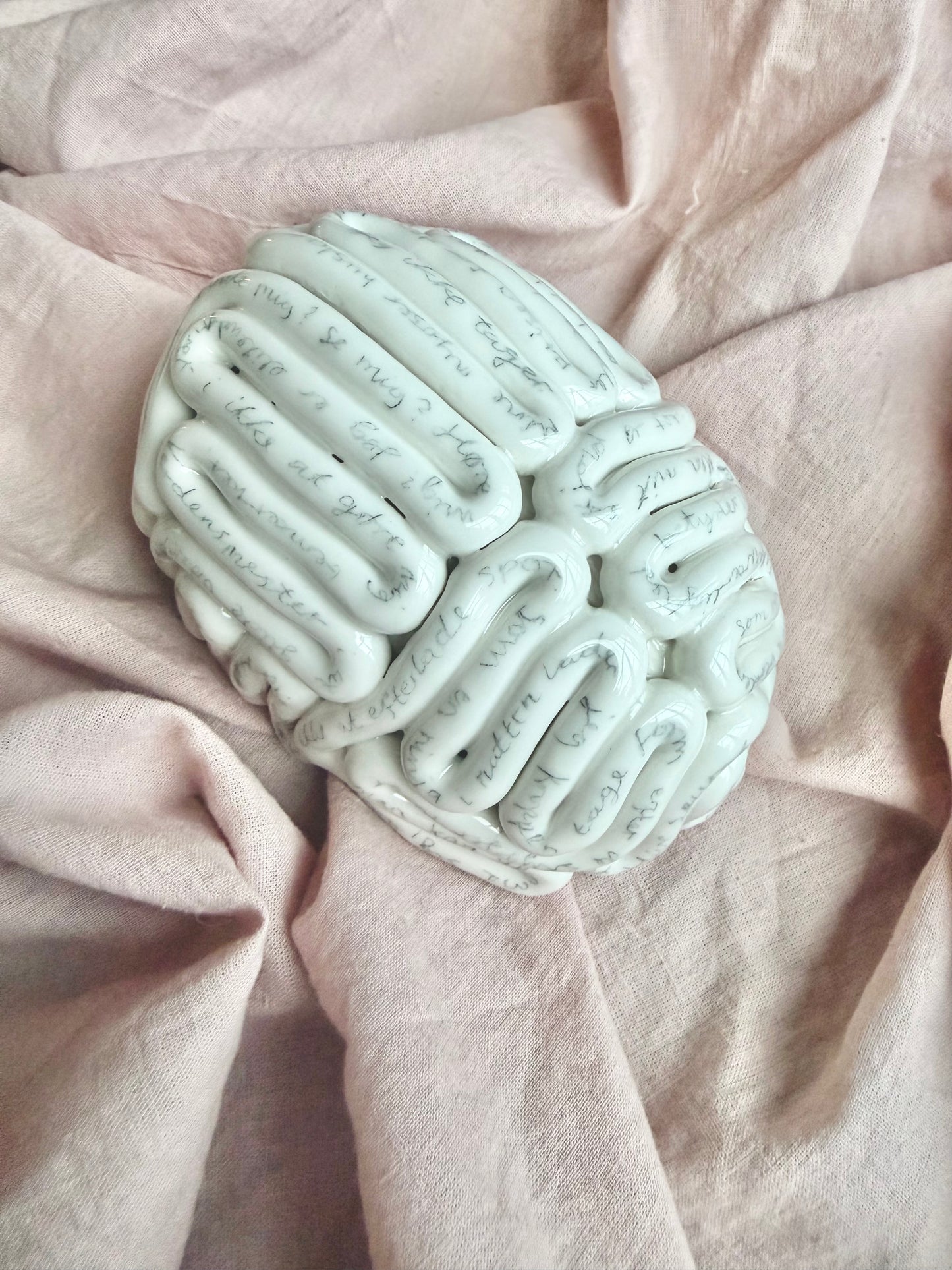 Tankemylderhjerne - Plads