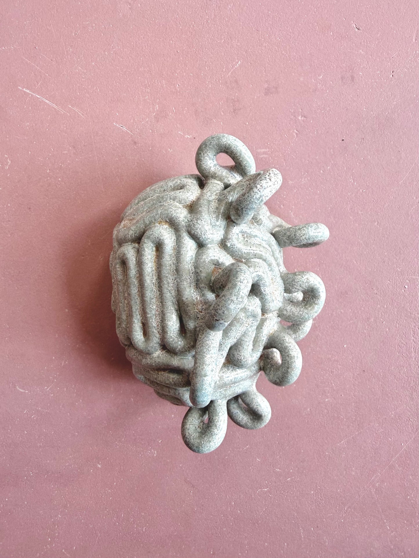 Krøllet hjerne blågrøn (mini)