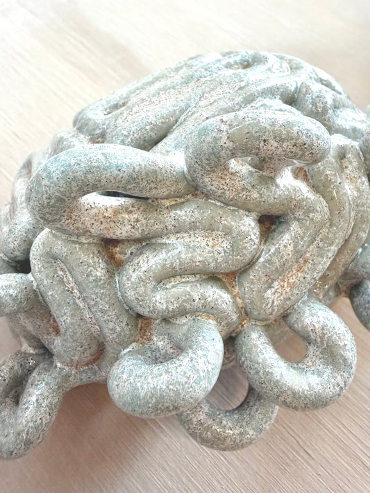 Krøllet hjerne blågrøn (mini)