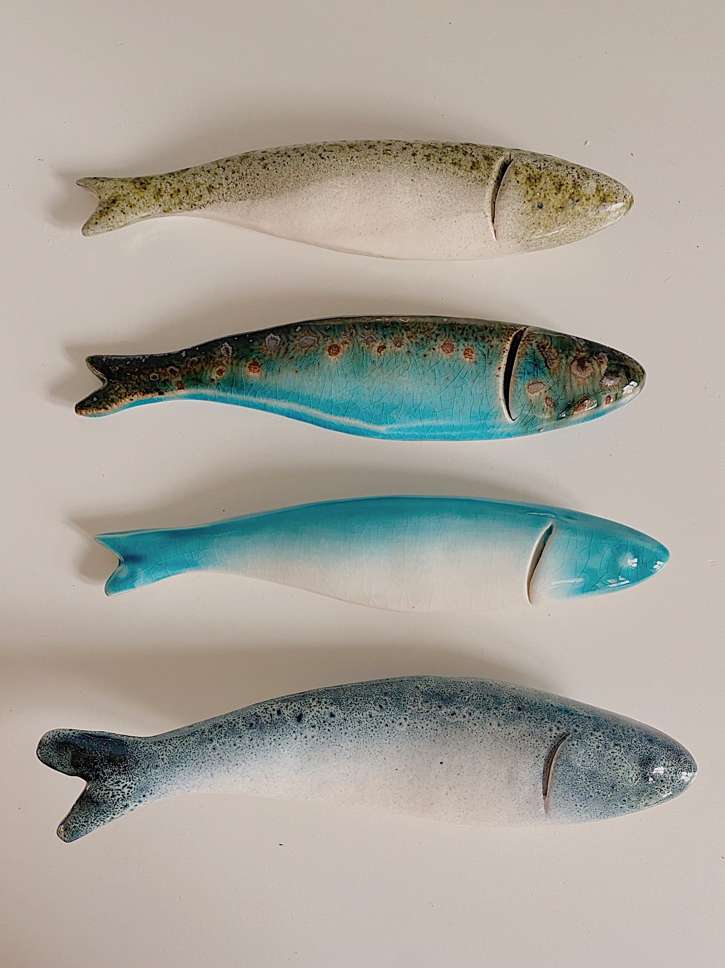 Blå vægfisk (højre)