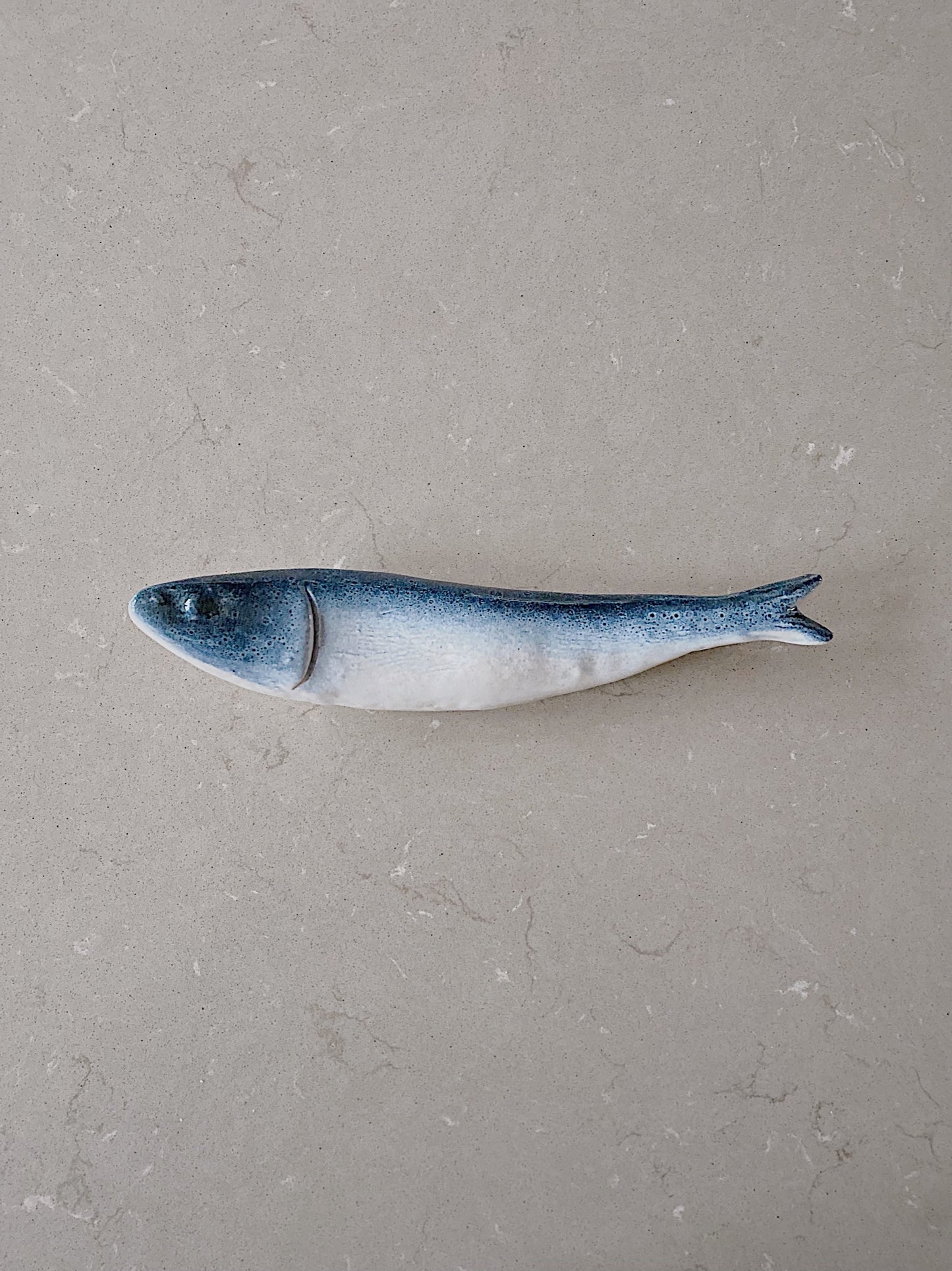 Blå vægfisk (venstre)